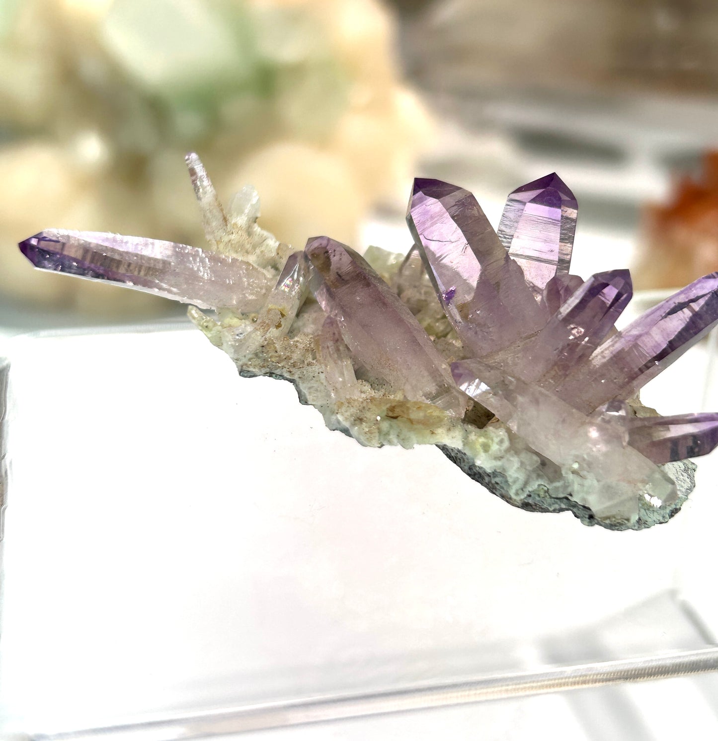 Vera Cruz Amethyst | High-Vibrational Points from Mexico