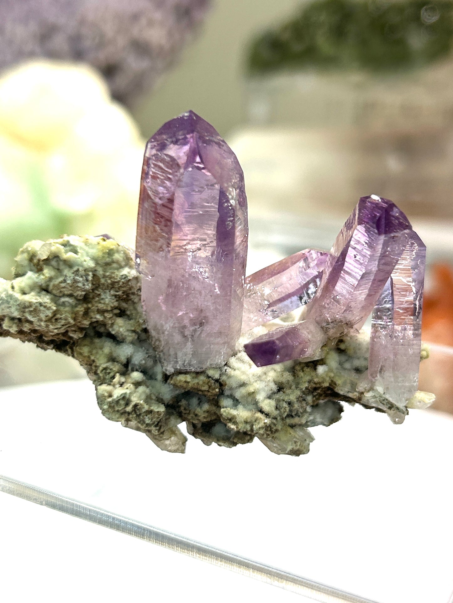 Vera Cruz Amethyst | High-Vibrational Points from Mexico