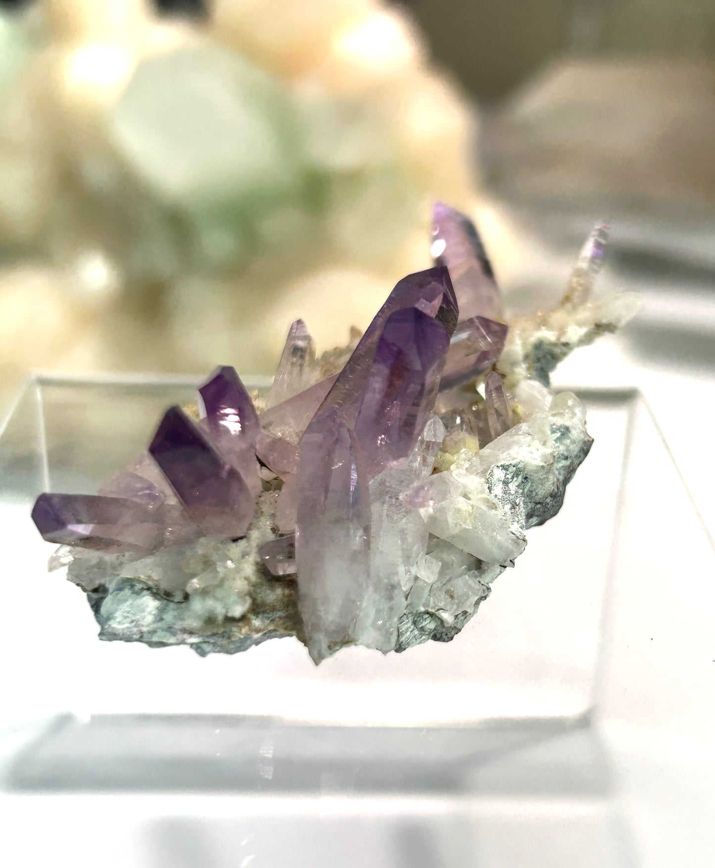 Vera Cruz Amethyst | High-Vibrational Points from Mexico