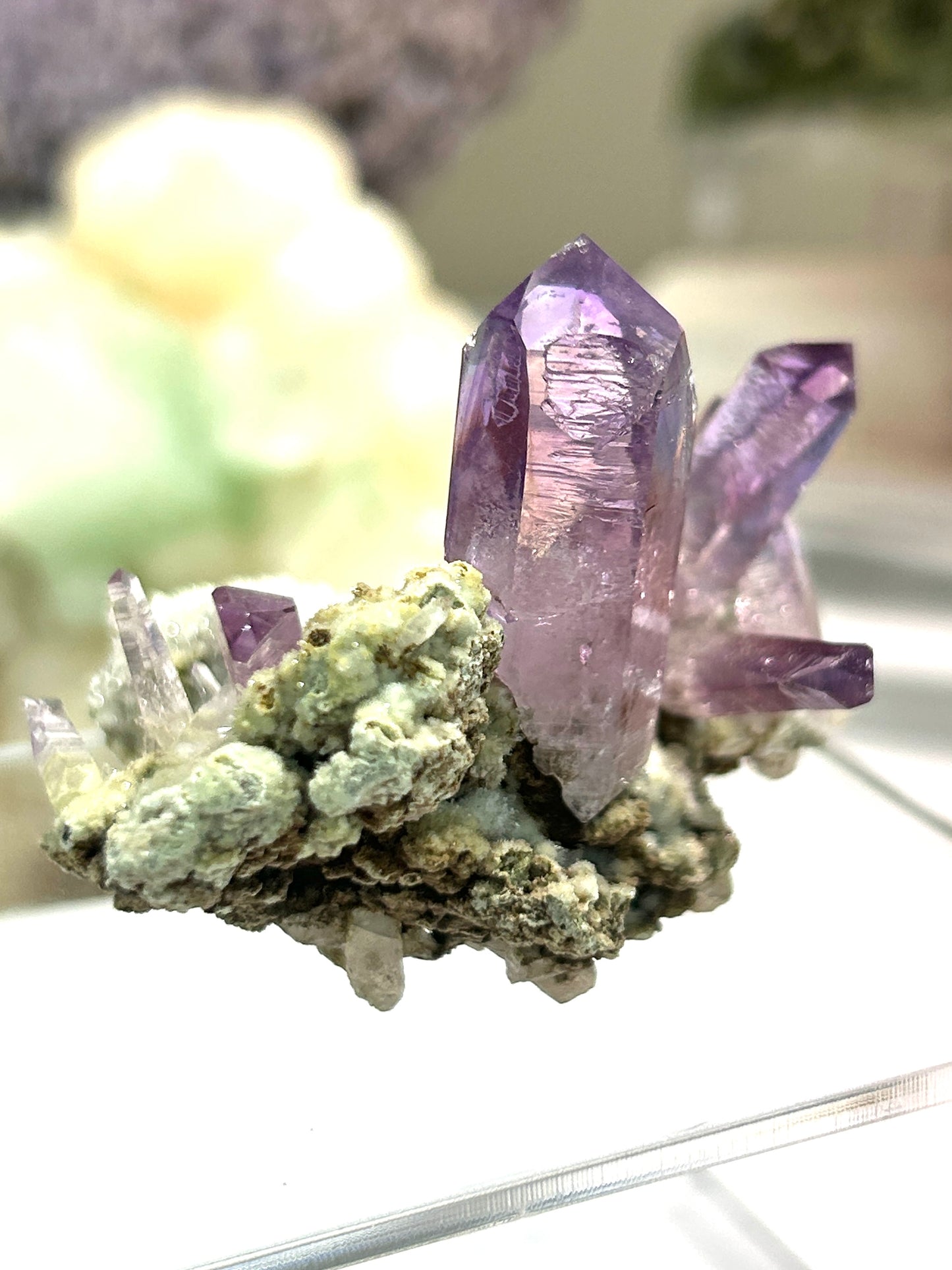 Vera Cruz Amethyst | High-Vibrational Points from Mexico