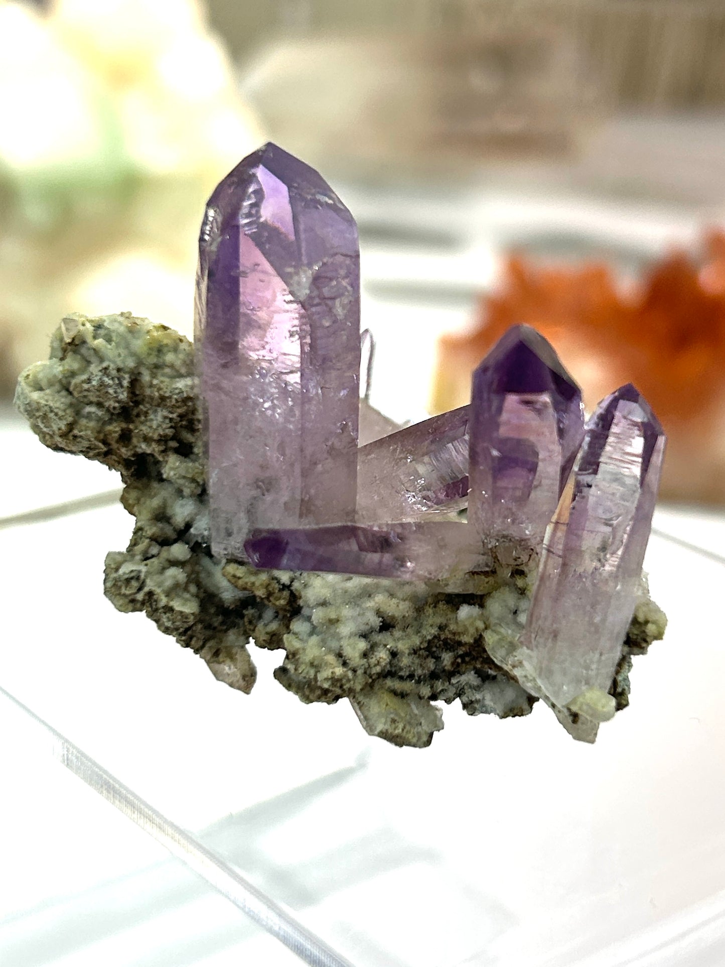 Vera Cruz Amethyst | High-Vibrational Points from Mexico