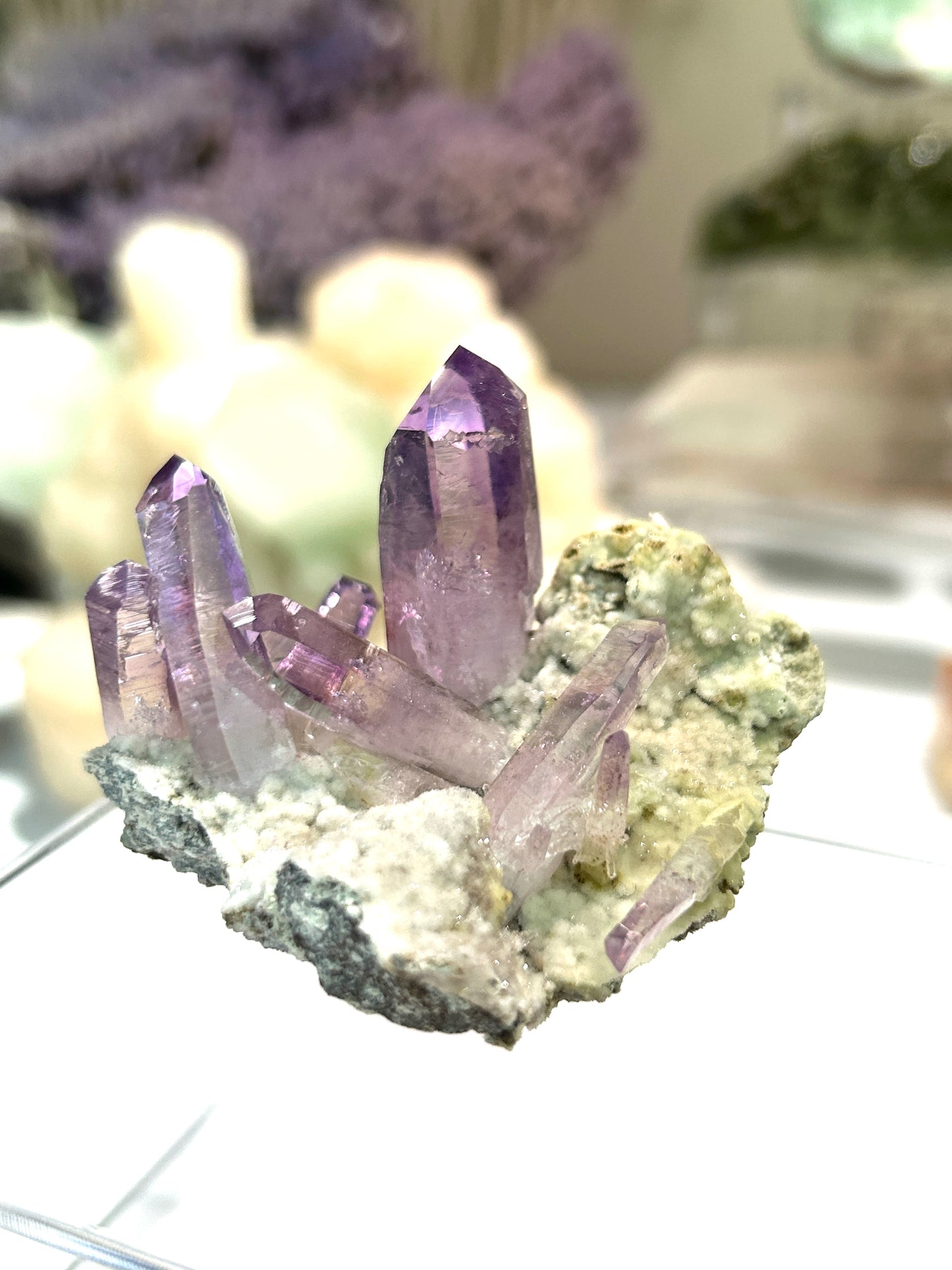 Vera Cruz Amethyst | High-Vibrational Points from Mexico