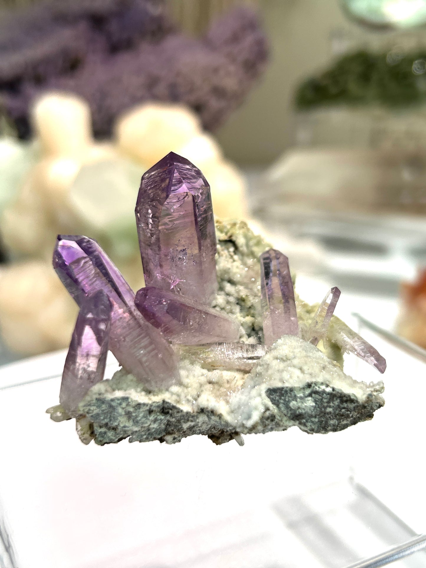 Vera Cruz Amethyst | High-Vibrational Points from Mexico