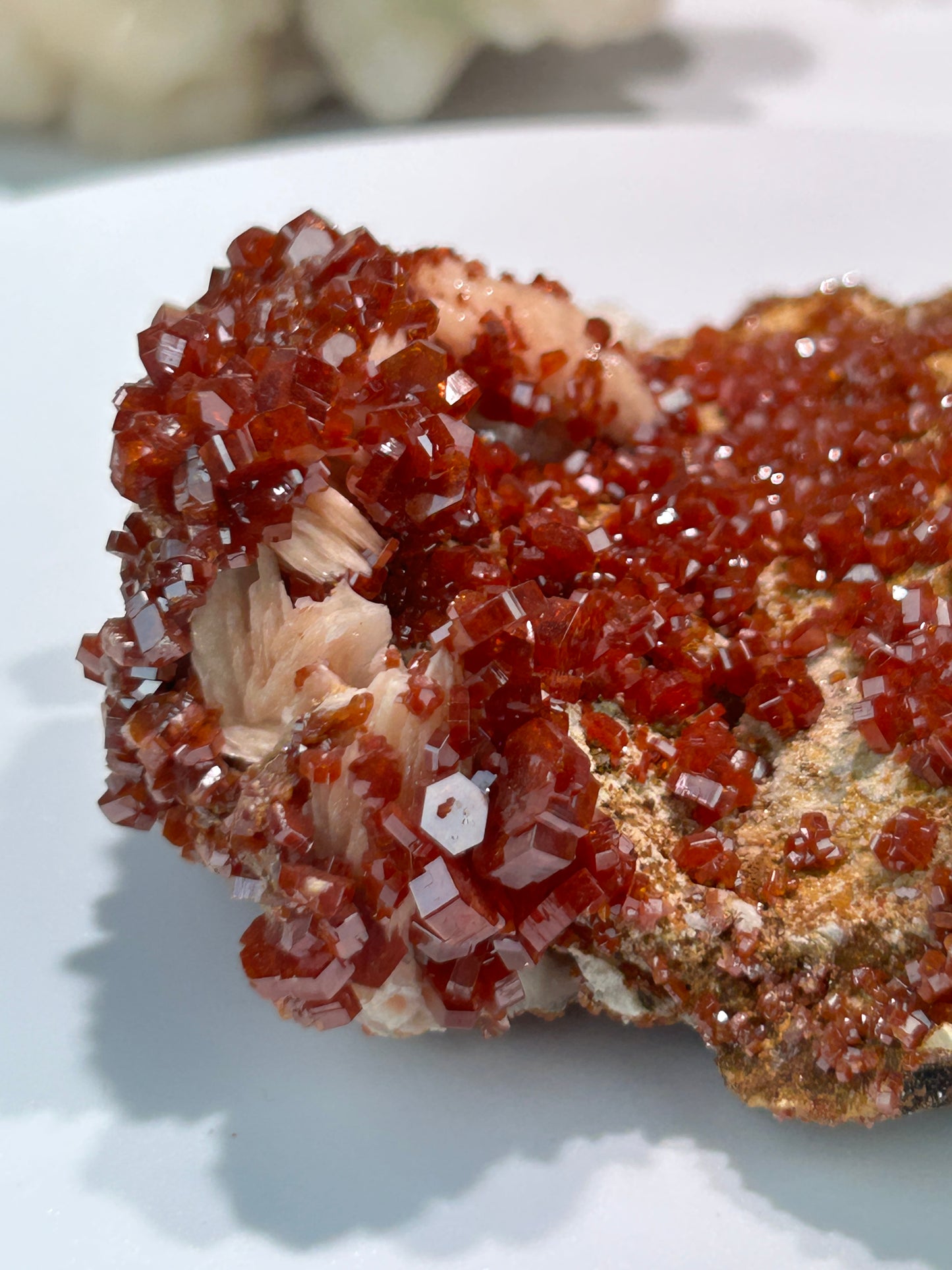 Vanadinite on Barite | Deep Red Crystal Clusters from Morocco