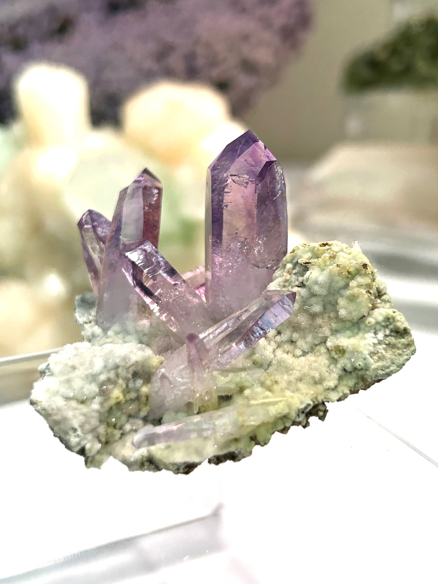 Vera Cruz Amethyst | High-Vibrational Points from Mexico