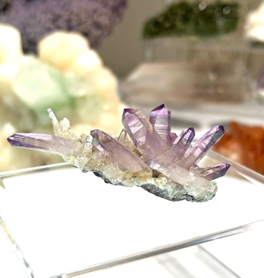 Vera Cruz Amethyst | High-Vibrational Points from Mexico